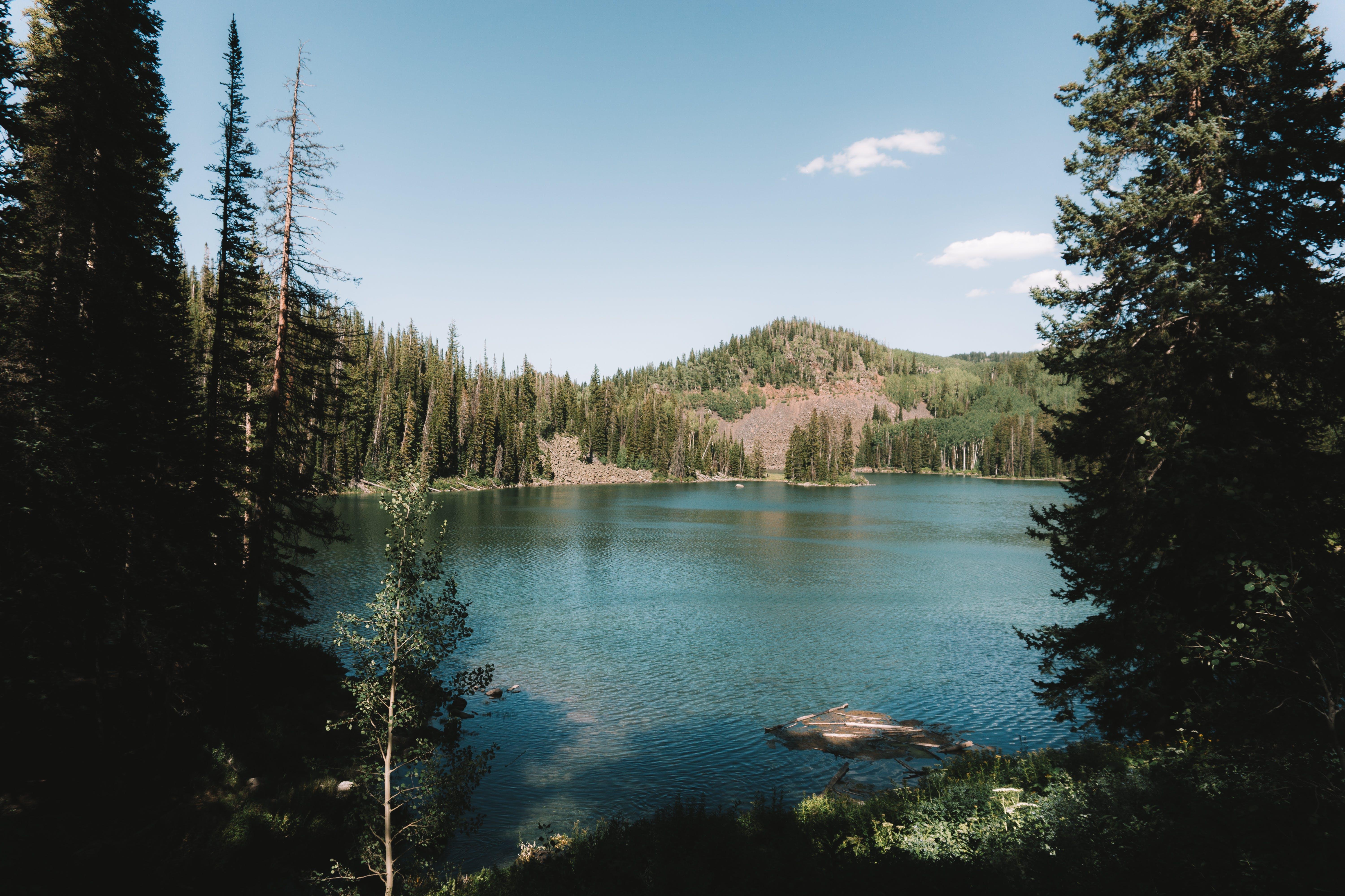 What is the boiling point of water in Denver Colorado? 