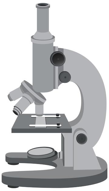 What is the function of the light source on a microscope? 