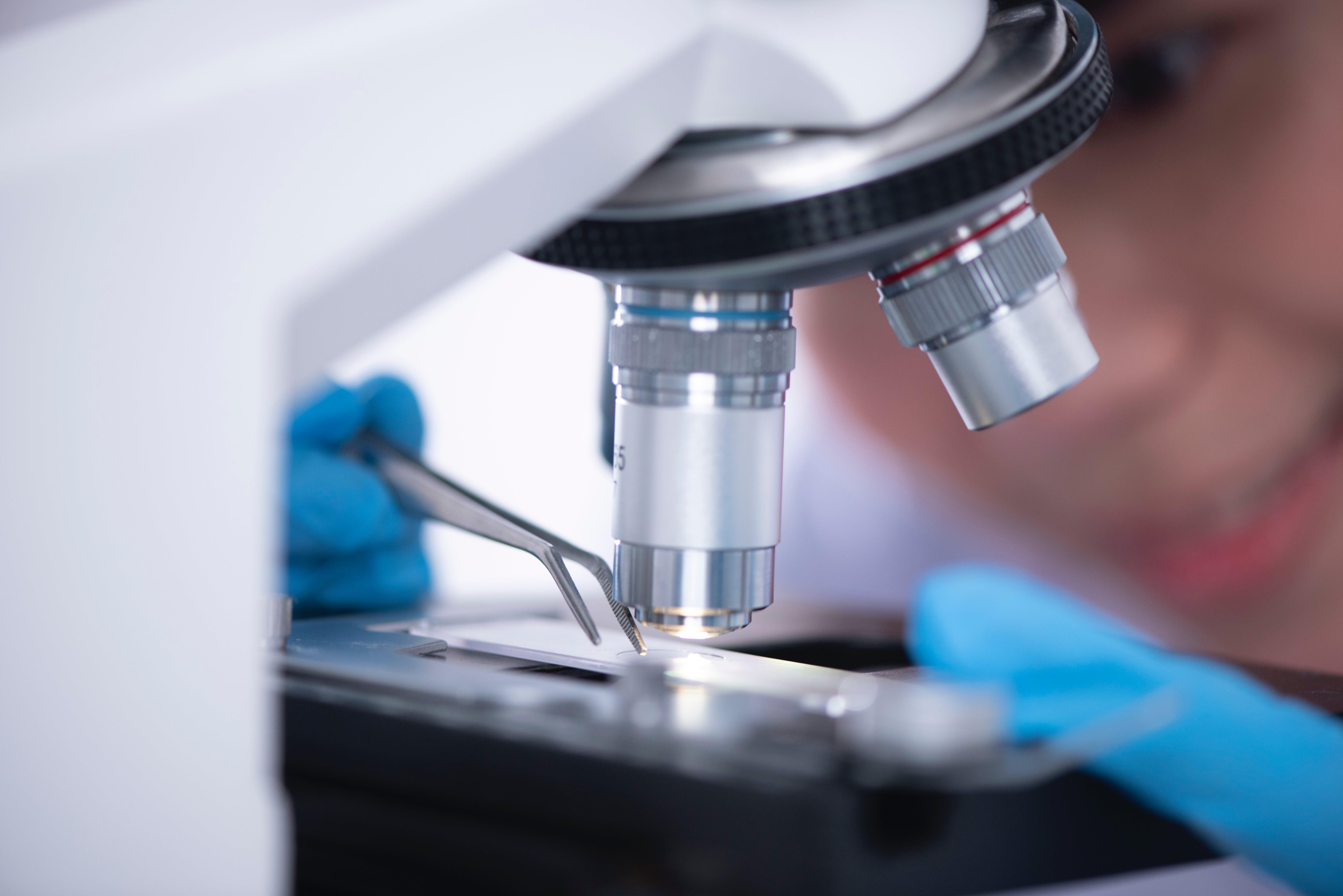 What is the function of the light source on a microscope? 