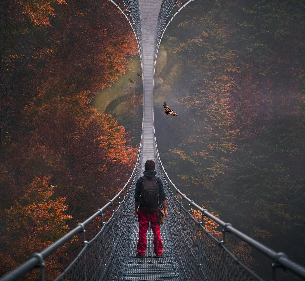 What is the longest dream? 