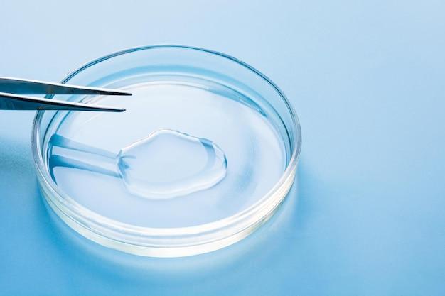 What is the main function of a buffer solution? 
