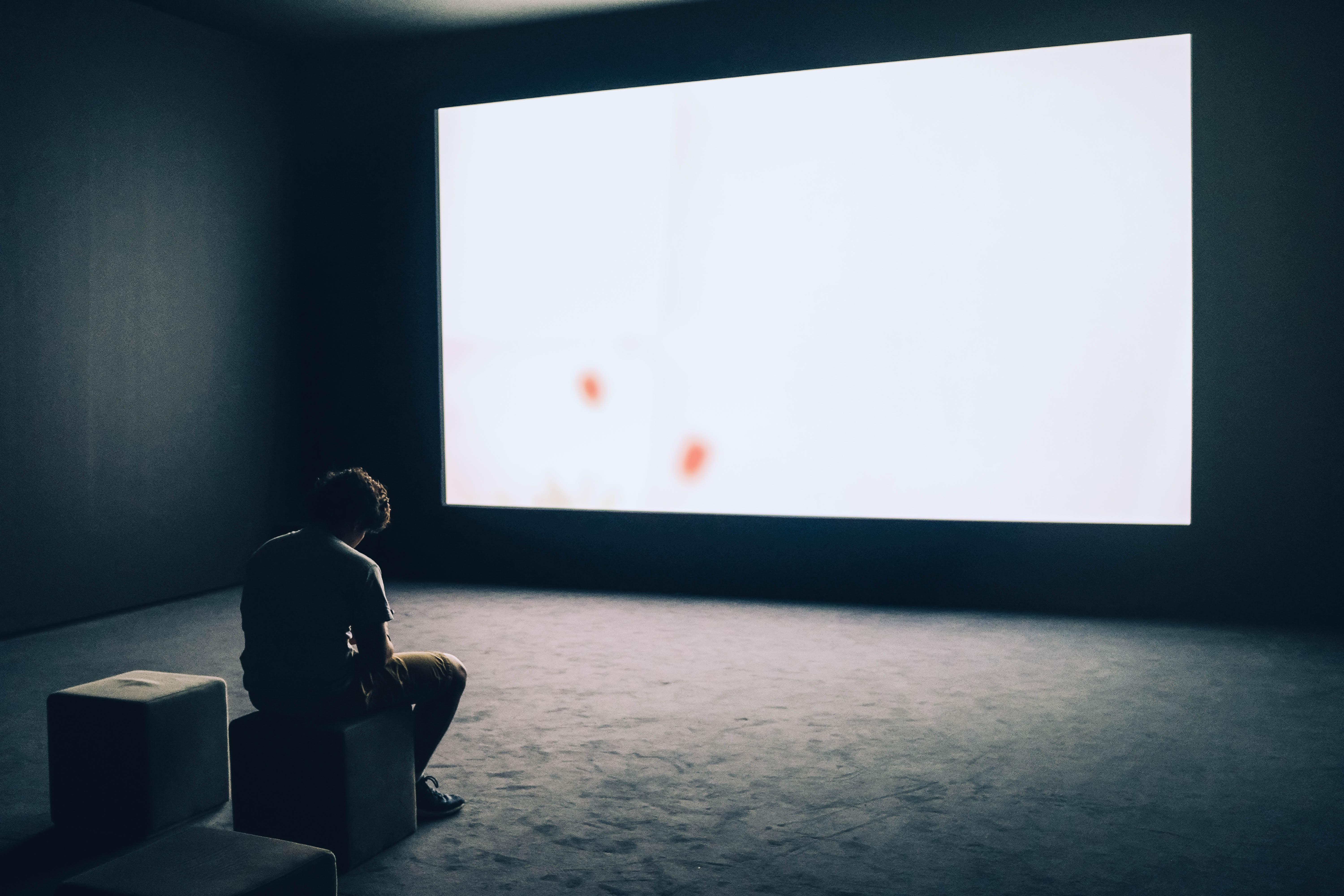 What is the main function of the projector? 