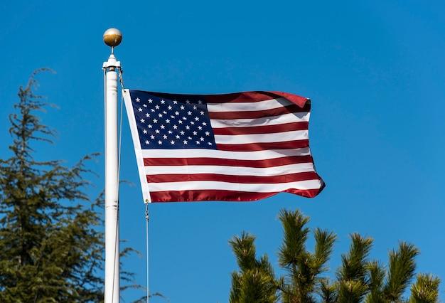 What kind of pulley is a flagpole? 