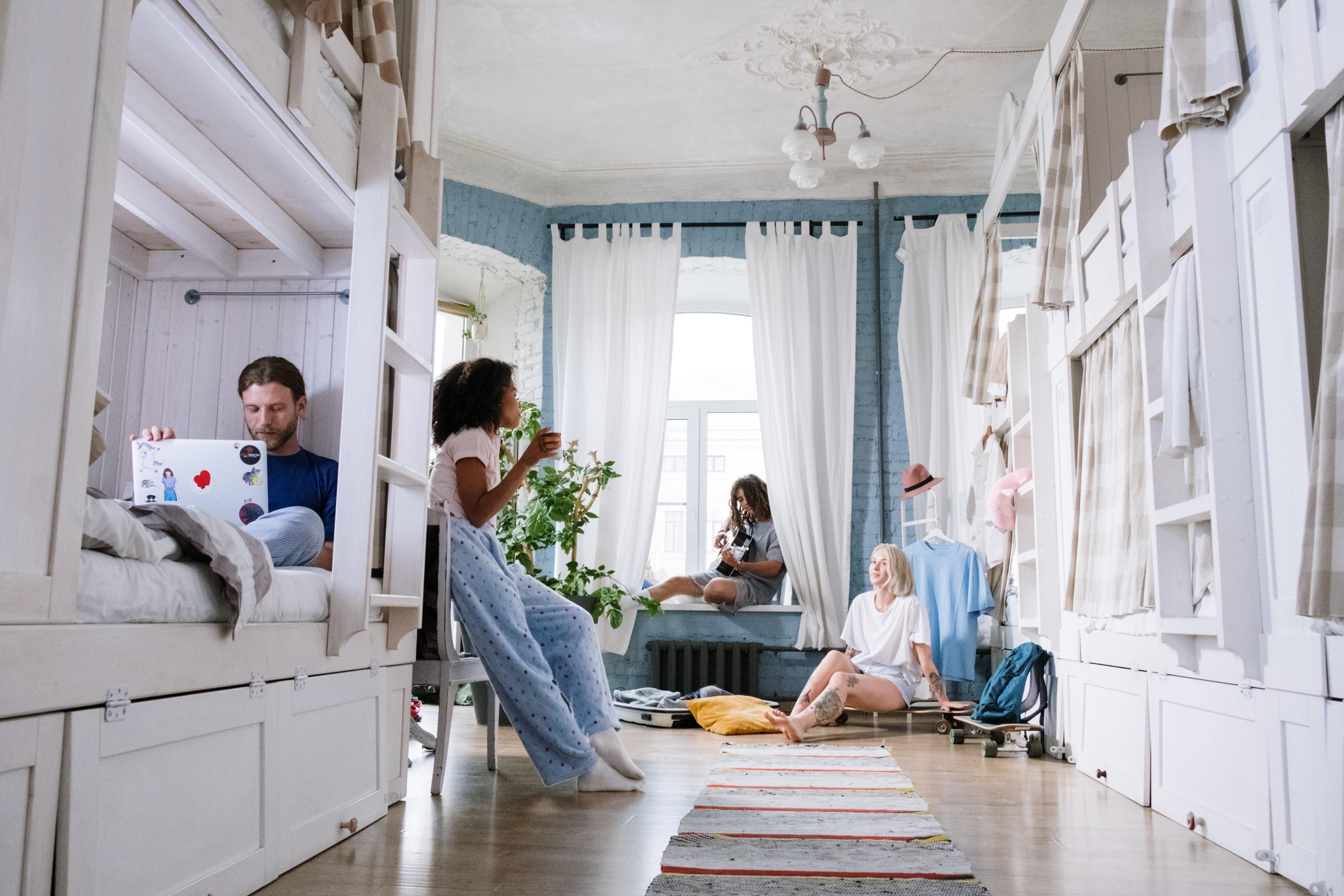 What Pets Can you keep in a dorm room? 