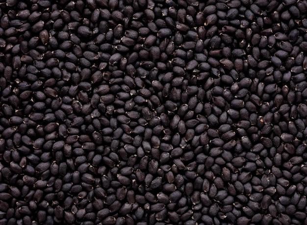 What seed companies are not owned by Monsanto? 