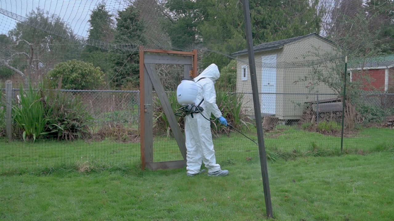 What do I do after spraying weed killer? 