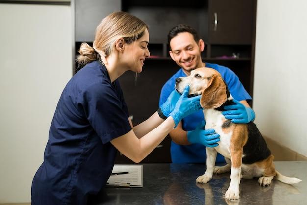 What are the pros and cons of becoming a veterinarian? 