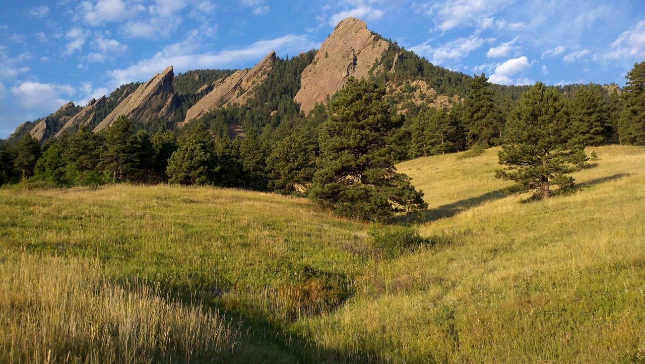 When should I hear back from CU Boulder? 