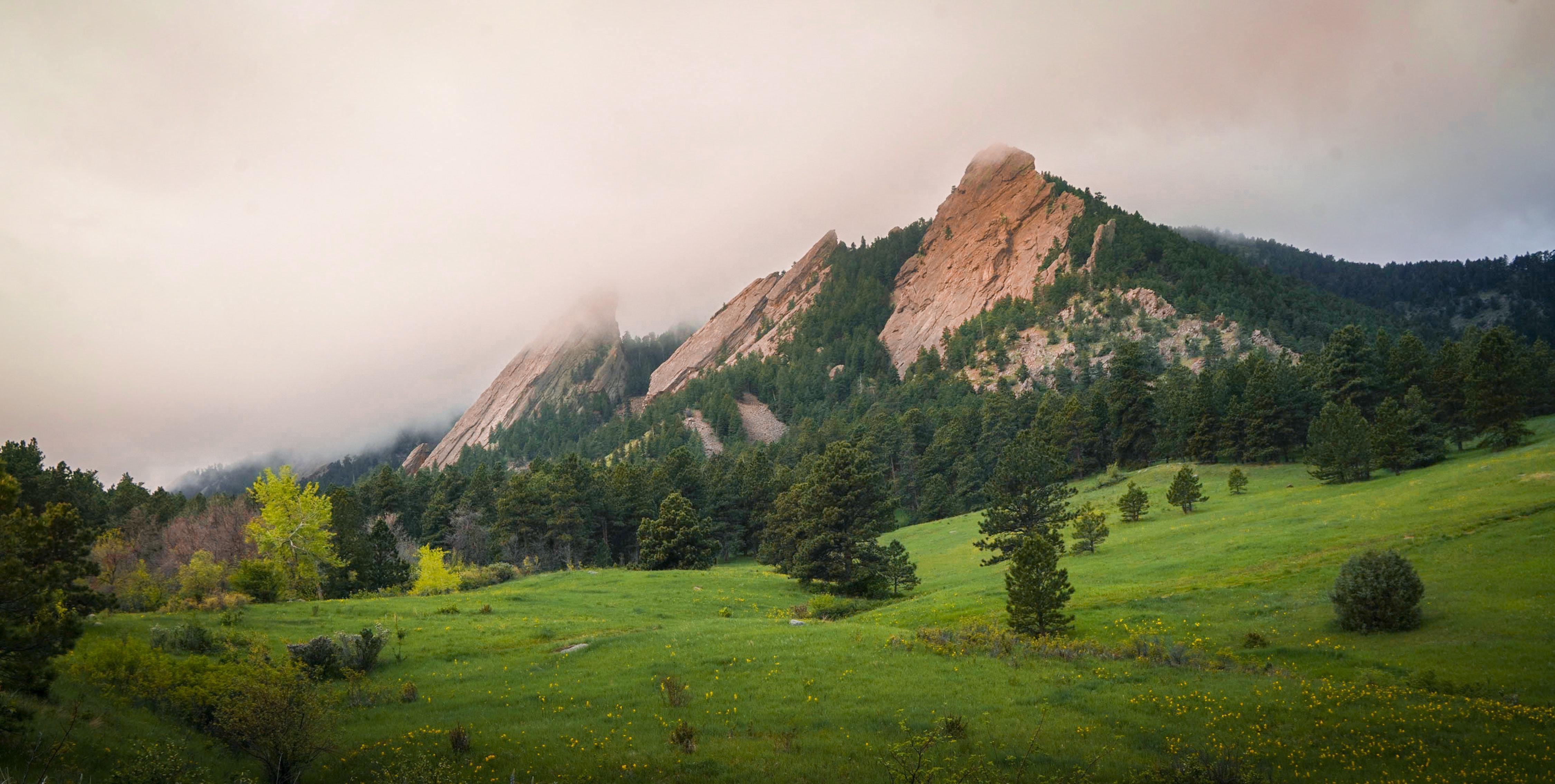 When should I hear back from CU Boulder? 