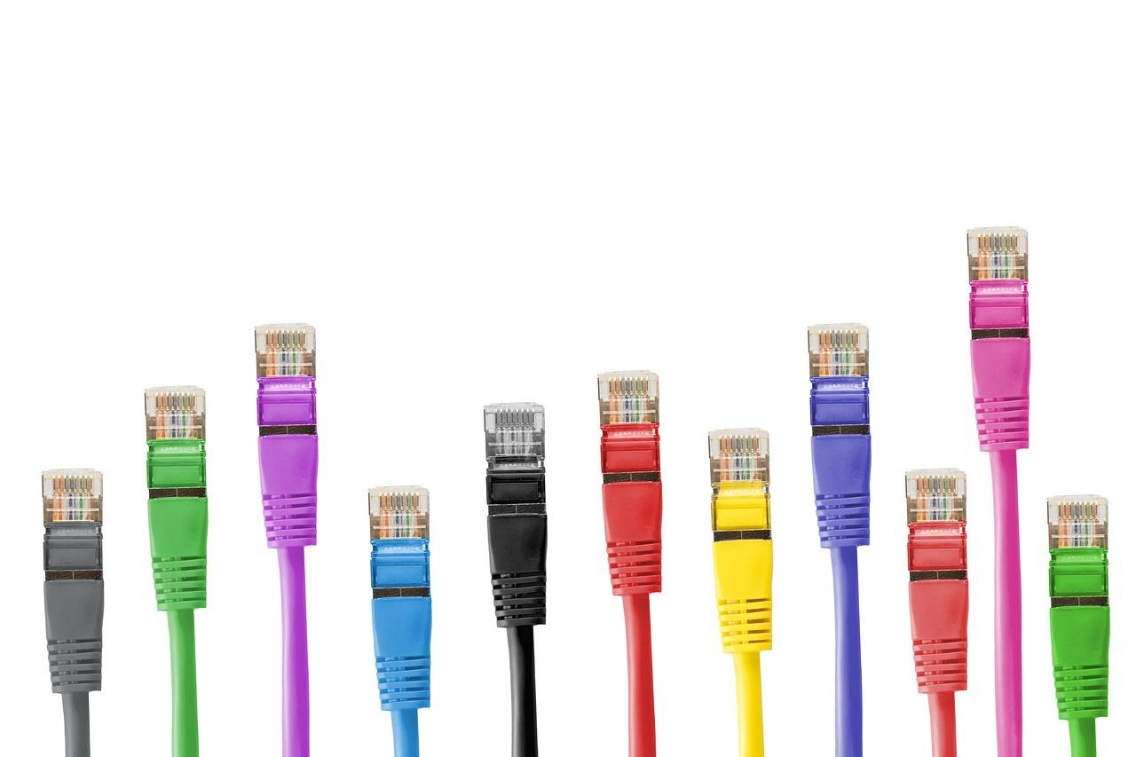 Which is the most commonly used network card? 