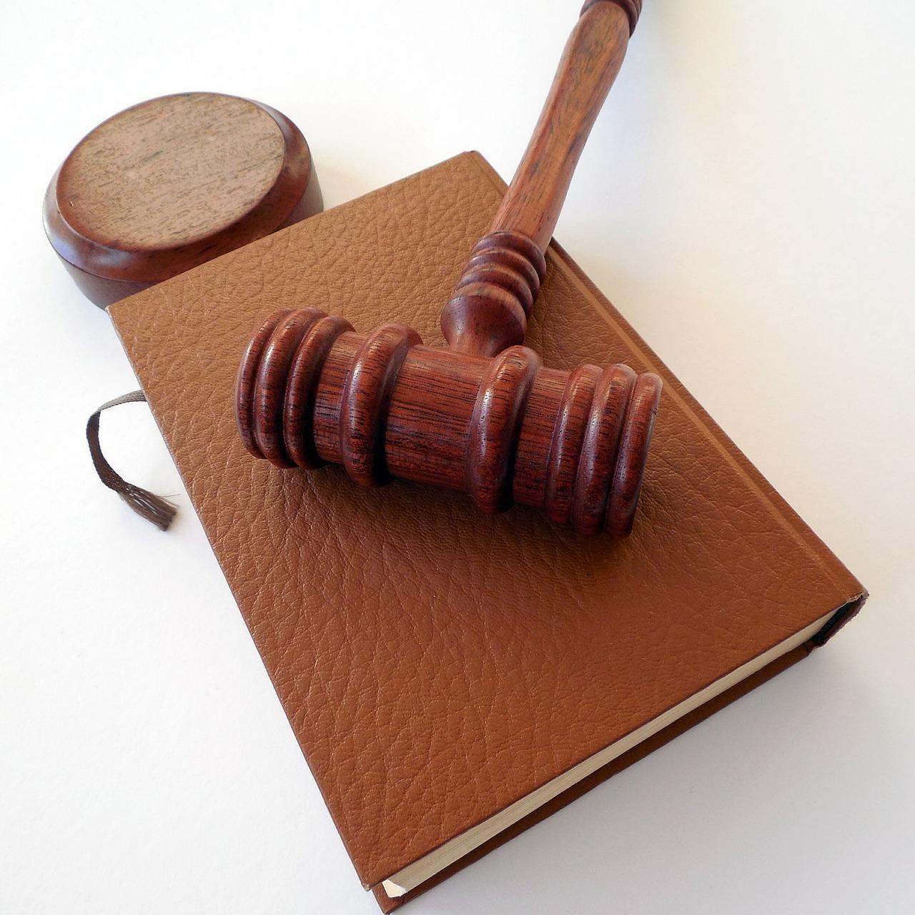 Which law schools accept the most transfers? 