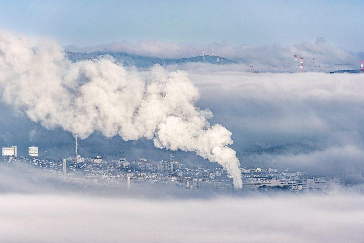 Which soda has the most carbon dioxide? 