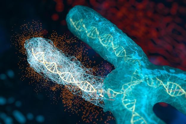 Which type of point mutation would have the greatest effect on the organism? 
