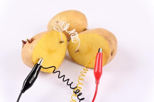 Who discovered potato battery? 