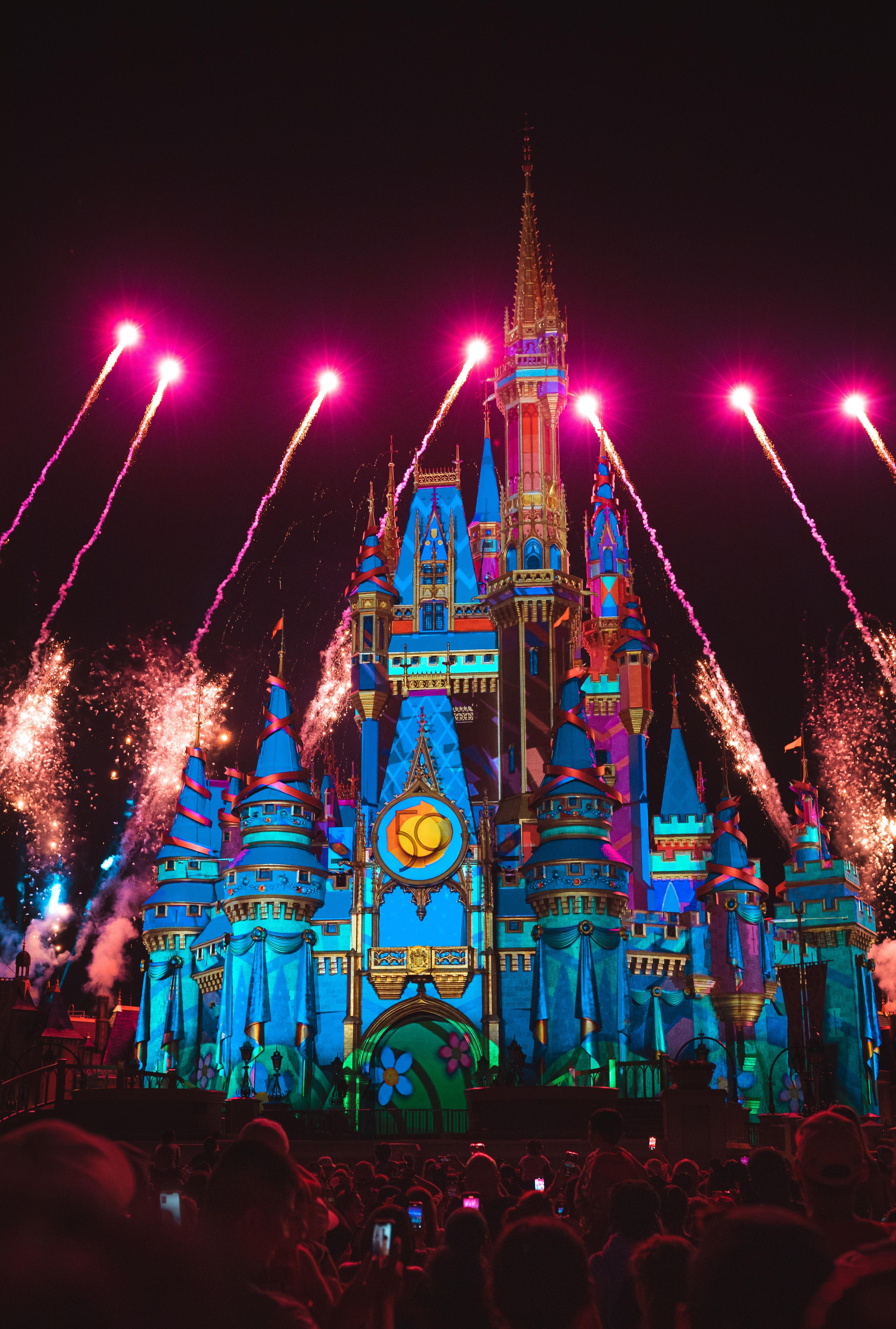 Why are there no birds at Disney World? 