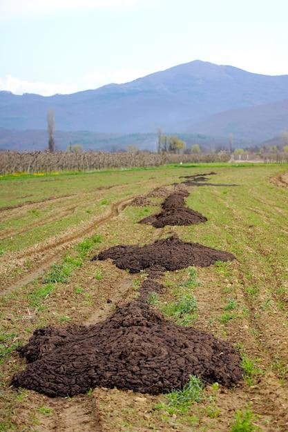 Why do farmers spread manure on their fields? 