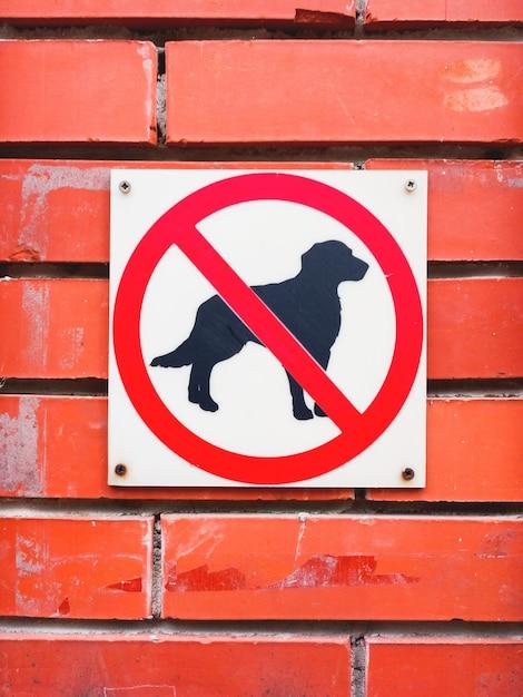 Why dogs should be allowed at school? 