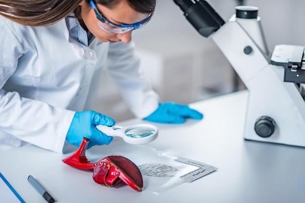 Why is forensic photography important? 