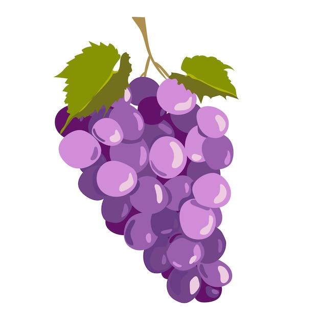 Why is grape jelly always purple? 