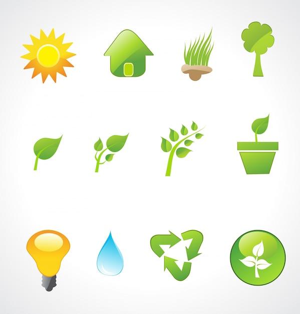 Why is interdependence an important theme in ecology? 